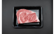 博多和牛 サーロインブロック 定期便全3回 計約1.5kg