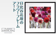 日比谷花壇のフラワーフレームアート Metropolitan Dahlias(メトロポリタンのダリア) ソフケン アルミフレーム 25x25cm