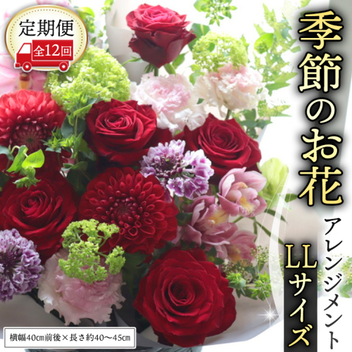 【 定期便 12か月 】季節の お花 の アレンジメント LL ギフト プレゼント 花 お祝い 贈答 記念日 フラワー  [CT144ci] 2101257 - 茨城県筑西市
