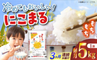 [全3回定期便] 長崎県産米 にこまる 5kg 長崎県/長崎県農協直販 [42ZZAA243]