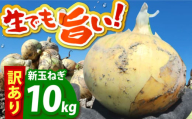 【今が旬!】 訳あり 新玉ねぎ 10kg 　【えぐちファーム】 不揃い たまねぎ 小玉 [HDE002]