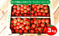 江口農園 シンディースイート 3kg