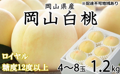  桃 ［2023年先行予約］岡山白桃 ロイヤル 4～8玉 約1.2kg 岡山県産 JAおかやまのもも（早生種・中生種）