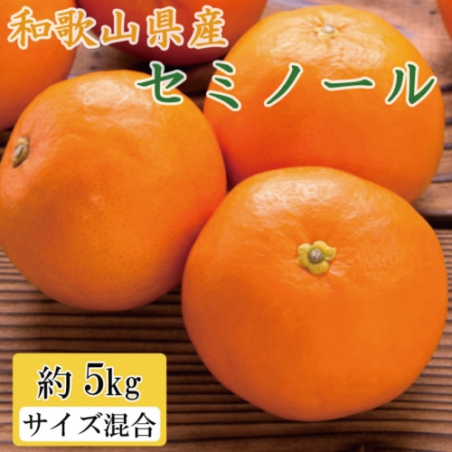 和歌山県由良町産セミノールオレンジ約5kg(サイズ混合　秀品)  210171 - 和歌山県北山村