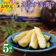 [お中元]特選水なす浅漬け 5個入り 010B1648t