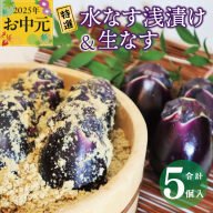 【お中元】特選水なす浅漬け＆生なす 5個入り 010B1649t