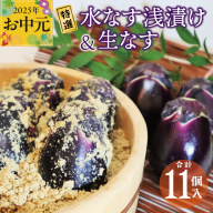 [お中元]特選水なす浅漬け&生なす 11個入り 099H3540t