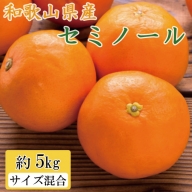 和歌山県由良町産セミノールオレンジ約5kg(サイズ混合　秀品)