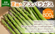 【2025年6月中旬～7月中旬 発送予定】《夏収穫》アスパラガス 800g | 神戸ファーム 野菜 アスパラ 新鮮 旬 グリーンアスパラ