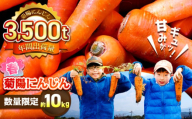 【4月中旬より順次発送予定】【数量限定】菊陽町の春にんじん 約10kg【有限会社さんふれあ】 [BHAK004]