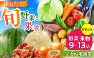【全6回定期便】【数量限定】菊陽町特産品 「野菜・果物などの詰め合わせ」 / 新鮮 詰合せ フルーツ セット 旬 おまかせ にんじん 直売所 やさい くだもの 熊本県 特産品 菊陽町【有限会社さんふれあ】 [BHAK008]