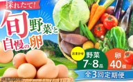 【全3回定期便】【数量限定】新鮮たまごと旬の野菜セット(野菜7~8品程度＋40個) / たまご 生卵 タマゴ 詰合せ セット 熊本県 特産品【有限会社さんふれあ】 [BHAK009]