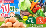 【全6回定期便】【数量限定】【新鮮たまごと旬の野菜セット(野菜7~8品程度＋40個) / たまご 生卵 タマゴ 詰合せ セット 熊本県 特産品【有限会社さんふれあ】 [BHAK010]