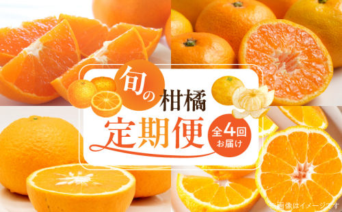 G60-T99_【定期便 全4回】紀州和歌山産旬の柑橘セット(みかん・不知火・せとか・清見)全4回 2102105 - 和歌山県湯浅町