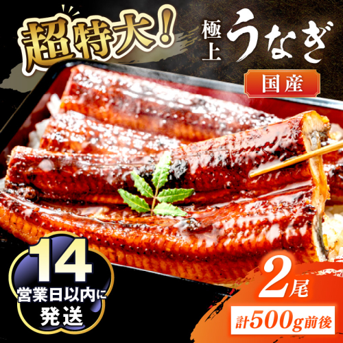 超特大！極上！国産うなぎ蒲焼 2尾 合計500g前後
 2102111 - 京都府京丹後市