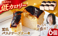 豆乳バスクチーズケーキ 6個 豆腐 豆腐 とうふ スイーツ お菓子 ケーキ 江田島市/徳永豆腐店 [XCQ001]