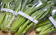 YT10-25B [金田農園] 信州のお野菜 小松菜 約2kg  農薬・化学肥料に頼らず育ったお野菜 地元子どもたちの給食でも使用 // 有機野菜 有機食材 オーガニック オーガニック野菜 無農薬 化学肥料不使用