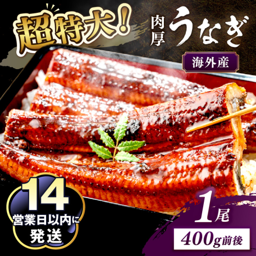 超特大！ふっくら肉厚！うなぎ蒲焼 1尾 400g前後
 2102171 - 京都府京丹後市