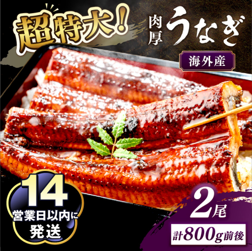 超特大！ふっくら肉厚！うなぎ蒲焼 2尾 合計800g前後
 2102219 - 京都府京丹後市