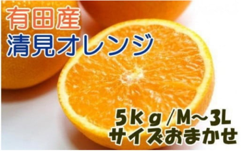 ZD6113n_【2026年先行予約】【産直】有田産清見オレンジ 約5kg (秀品サイズおまかせ) 210224 - 和歌山県湯浅町