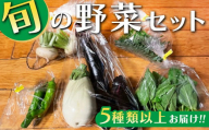 旬の野菜セット 5種類以上お届け｜季節の野菜 詰合せ 塩谷町 栃木県　※北海道・沖縄・離島への配送不可