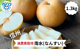 ＼ 長野県生まれ！ 甘い梨をお届けします！ ／『南水』は糖度が梨の中ではトップクラスの品種です。酸味は少なく、甘みたっぷり。1口かじると果汁が滴るほど水分がしっかり含まれています。暑い時期の水分補給に
