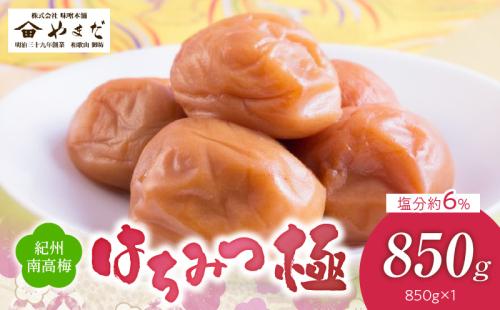 YD1006_紀州南高梅はちみつ極塩分約6％（850ｇ） 2102559 - 和歌山県湯浅町