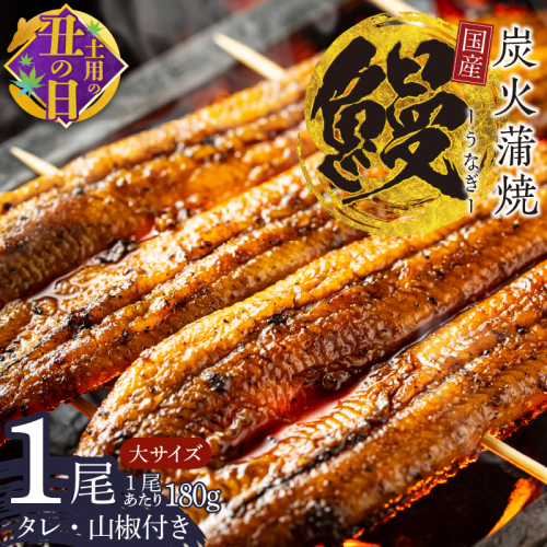 【7/19土用の丑の日】国産うなぎ 大サイズ 180g×1尾 タレ 山椒付き 有頭 炭火 蒲焼 099H2332c 2102629 - 大阪府泉佐野市