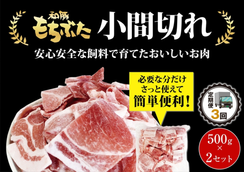 【定期便３回】和豚もちぶた小間切れ　500g×2セット【 日常使い ごちそう プレゼント ギフト 結婚祝い 結婚 出産 お祝い 内祝い 退職祝い お礼 お取り寄せ 神奈川県 海老名市 】 2102641 - 神奈川県海老名市