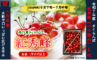 紅秀峰1kg　バラ詰め　Lサイズ以上　令和7年産