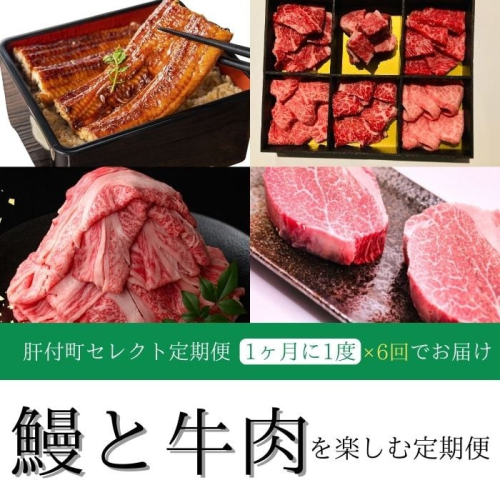 ＜定期便・全6回＞肝付町セレクト定期便《鰻と牛肉を楽しむ定期便》 2102778 - 鹿児島県肝付町