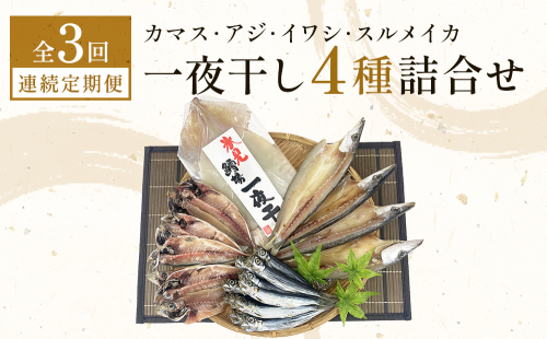 【連続3回】一夜干し4種詰合せ定期便《カマス・アジ・イワシ・スルメイカ》 富山県 氷見市 定期便 干物 かます あじ 鰯 いわし いか おかず 一品 2102844 - 富山県氷見市