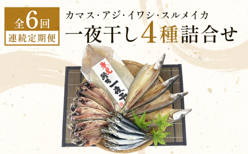【連続6回】一夜干し4種詰合せ定期便《カマス・アジ・イワシ・スルメイカ》 富山県 氷見市 定期便 干物 かます あじ 鰯 いわし いか おかず 一品 2102846 - 富山県氷見市