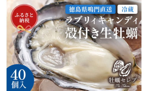 【牡蠣セレブ】ラブリィキャンディ ×40個    生食  カキ 殻付き 生牡蠣 かき 鳴門  かき ブランド牡蠣 海鮮 魚介 貝類 焼き牡蠣 蒸し焼き カキフライ アヒージョ 牡蠣ご飯  2102897 - 徳島県鳴門市