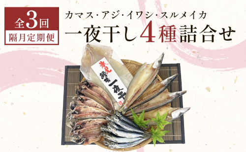 【隔月3回】一夜干し4種詰合せ定期便《カマス・アジ・イワシ・スルメイカ》 富山県 氷見市 定期便 干物 かます あじ 鰯 いわし いか おかず 一品
 2103192 - 富山県氷見市