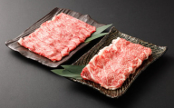 [A4・A5]博多和牛 スライス 2種 食べ比べ 合計4kg(肩ロース 400g×5パック & 赤身 400g×5パック)