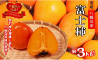 甘さにニッコリ!日本最大級の柿「富士柿」約3キロ＜C39-72＞【1620371】