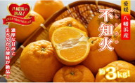 2026年2月～順次出荷　甘さと酸味の絶妙なバランス!はじける果肉「不知火」約3キロ＜C39-74＞【1620480】