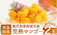 鹿児島県指宿市産 完熟マンゴー 2玉(約1kg)(花立山農業研究所/022-1781) マンゴー フルーツ 果物 夏 旬 果実 くだもの 鹿児島県産 国産 完熟 農家直送 産地直送 産直 トロピカル トロピカルフルーツ 南国 指宿 鹿児島
