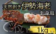 でっかい天然伊勢海老  刺身用 1kg以上 冷凍 ( 特大サイズ 急速冷凍 えび エビ 高級 鮮魚 海鮮 魚介 刺身 焼き物 汁物 ギフト 贈答 贈り物 祝い 歳暮 中元 年末 年始 早期 予約 ) IKY100