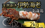 でっかい天然伊勢海老  刺身用 2kg以上 冷凍 ( 特大サイズ 急速冷凍 えび エビ 高級 鮮魚 海鮮 魚介 刺身 焼き物 汁物 ギフト 贈答 贈り物 祝い 歳暮 中元 年末 年始 早期 予約 ) IKY101