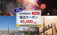 HISふるさと納税宿泊予約専用クーポン（東京都墨田区）45,000円分 [№5619-2117]