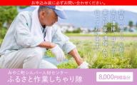 ふるさと作業しちゃり隊(8,000円相当分サービス)