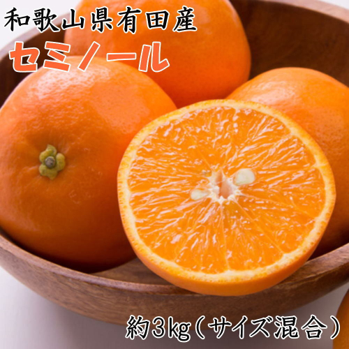 【濃厚オレンジ】和歌山有田産セミノール約3kg（サイズ混合 秀品） ※2026年4月中旬～5月上旬頃に順次発送予定
 2104196 - 和歌山県美浜町