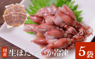 生ほたるいか冷凍5袋セット 富山県 氷見市 ホタルイカ 冷凍 刺身