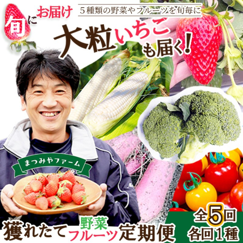 まつみやファーム獲れたて野菜・フルーツ5種定期便 2104225 - 京都府京丹後市