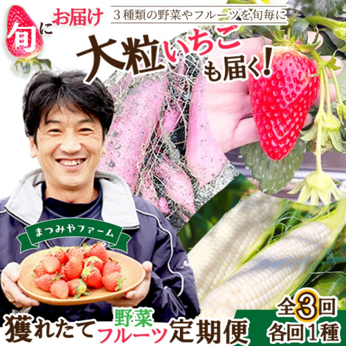 まつみやファーム獲れたて野菜・フルーツ3種定期便 2104226 - 京都府京丹後市
