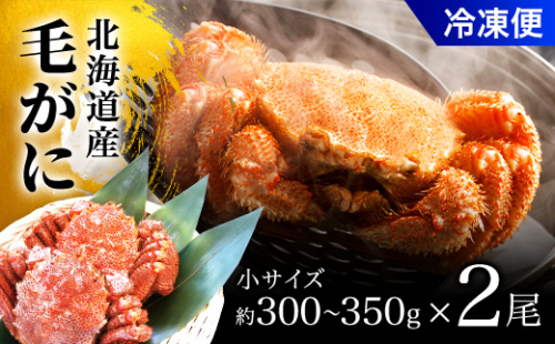 毛がに小サイズ2ハイ(冷凍) OSMA002 2104227 - 北海道長万部町
