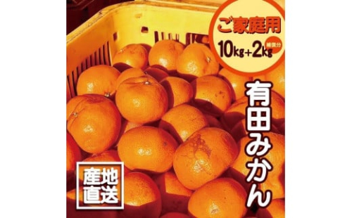 【訳あり】有田みかん 10kg＋2kg 保証分 2S～3Lサイズ混合 2104240 - 和歌山県有田川町