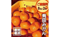 【訳あり】有田みかん 8kg＋2kg 保証分 2S～3Lサイズ混合